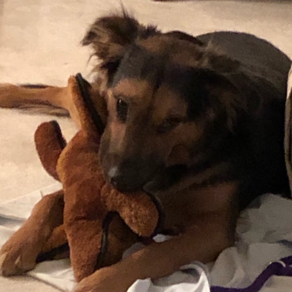 ABOUT ME - Picture 7 of 11